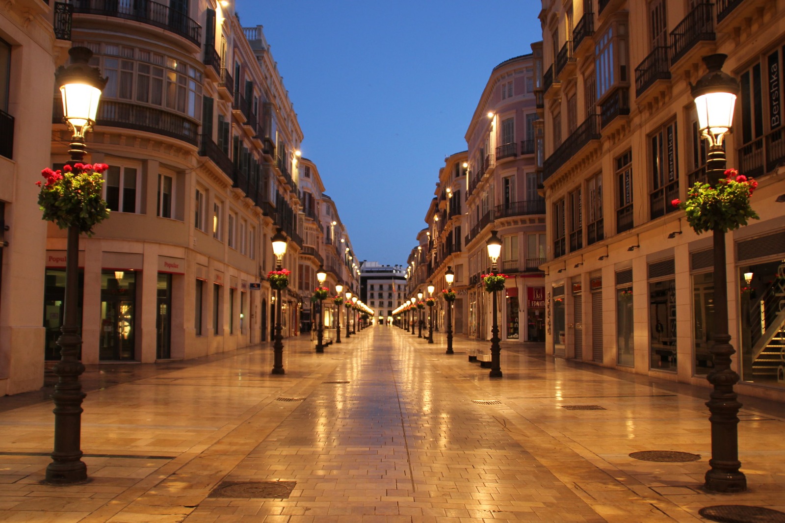 malaga(16)