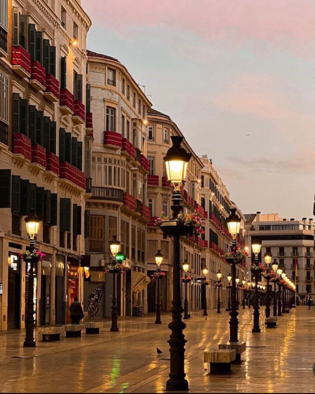 malaga(6)
