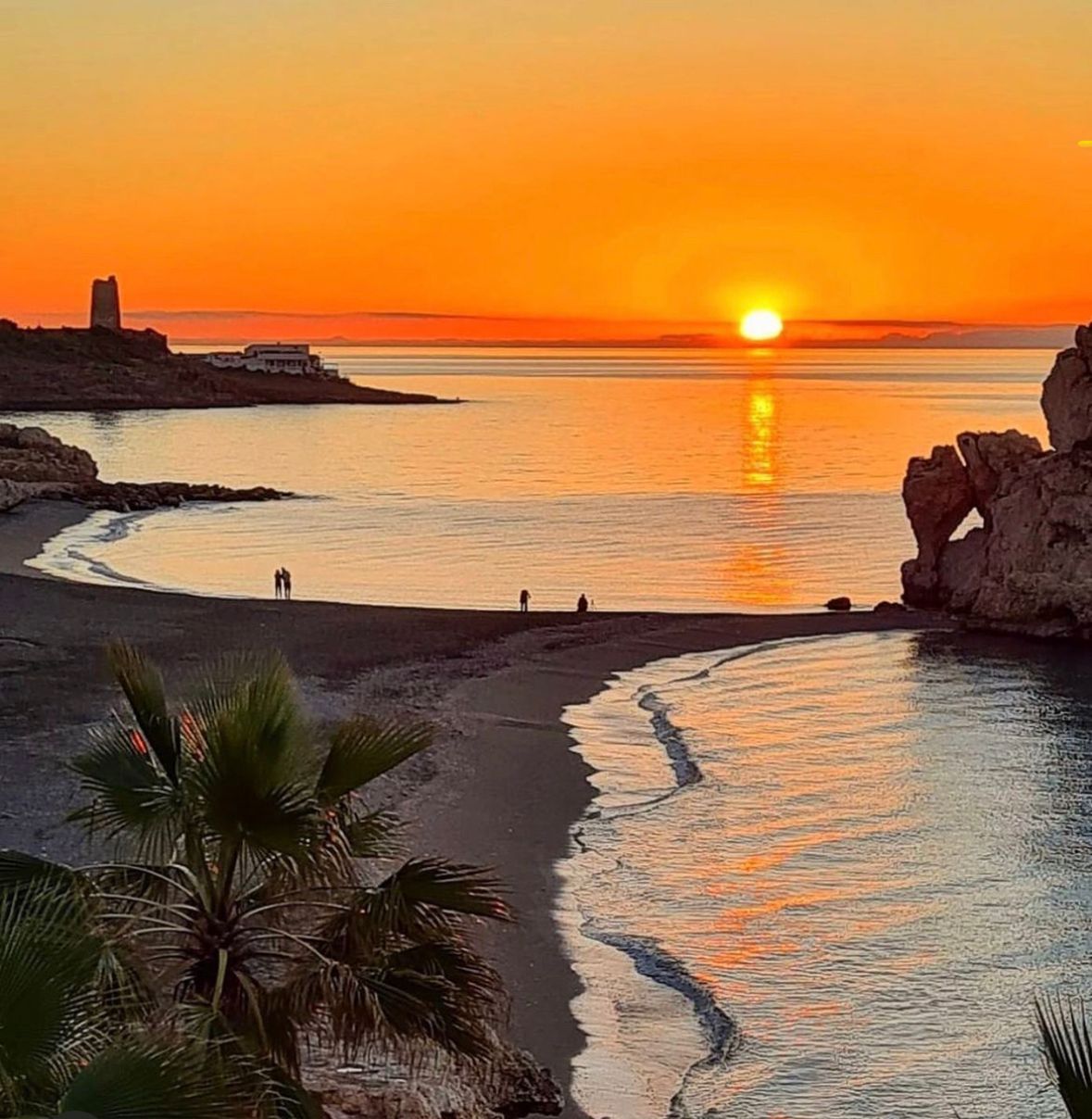 malaga(8)
